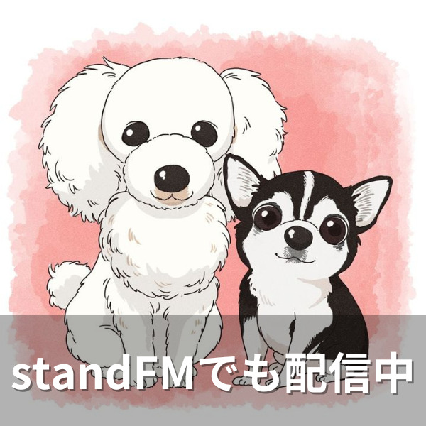 standFM用画像